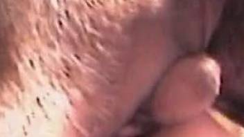 Closeup anal zoophilia with a woman and her dog