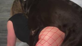 Horny chick captured on camera arching her rear for her fluffy pal