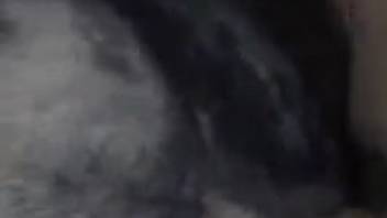 Guy's cock disciplining a stunningly attractive cunt