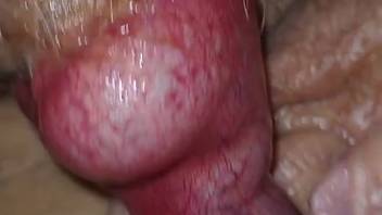 Wet vagina pounded by a throbbing canine cock