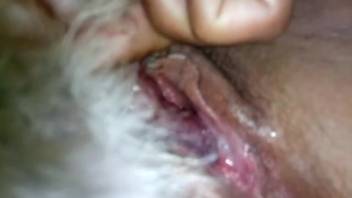Horny guy fingers beast up close in bestiality scene