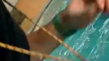 Guy exploiting his slutty lips to gratify a dolphin's cock