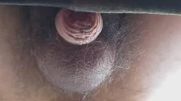 Hairy asshole zoophile getting fucked in the ass