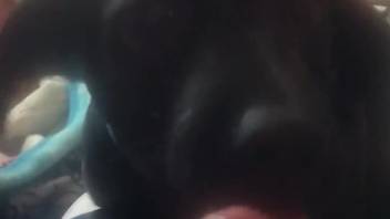 Steamy beast tonguing every inch of that man's shaft in high def