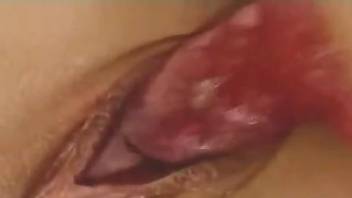 Blonde sticks massive dog penis in both her wet holes