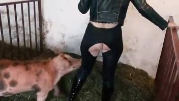 Clothed brunette feels pig's penis right in the ass
