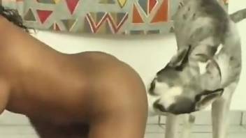 Nude Latina beauty stands exposed and ready to fuck with the dog