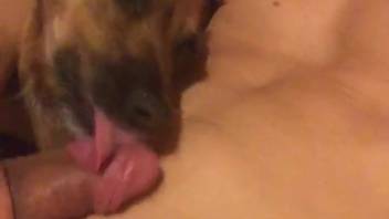 Guy sticks his tasty dick into the canine's steamy mouth