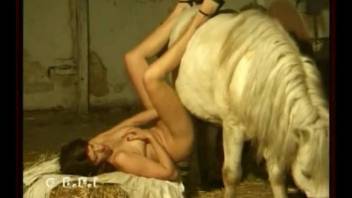 Busty woman sucks horse dick before letting it in her vagina