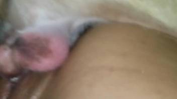MILF with hairy pussy doggy fucked in the ass by her dog