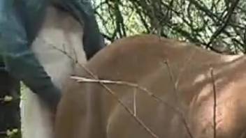 Brunette filly being hammered by a lustful pony enthusiast