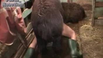 Insane animal fuck video with a horny amateur
