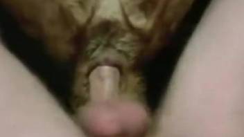 Man sticks hole penis in dog's vagina for extreme pleasures