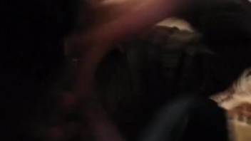 Informal bestiality sex romp with an eager homosexual receiver