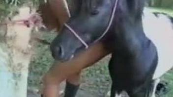 Naked amateur roughly fucked by horse in outdoor zoo