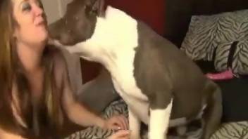 Hot bitch cannot stop eating dog ass on camera