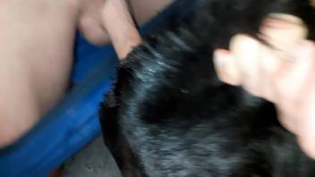 Guy thrusts his erect cock into a canine's stunning vagina