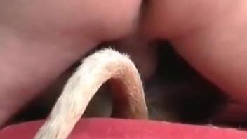 Dude with a nice booty fucking a dirty animal HARD