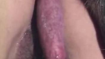 Horny lady with a hairy pussy is ready for a creampie