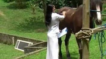 Brunette gets naked and ready to fuck with the horse