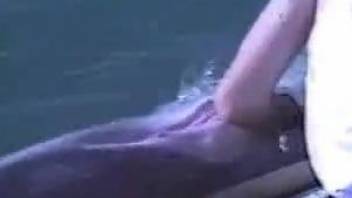 Animal porn in marine zoophilia webcam show