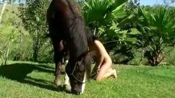 Farm cutie is sensually sucking a stallion dick