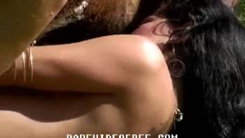 Rural beauty is erotically blowing a horse's cock