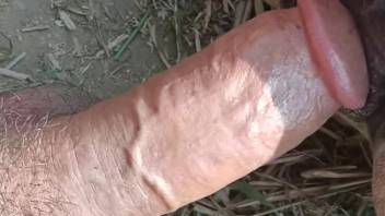 Guy deeply thrusts into creature's moist vagina in close-up shots