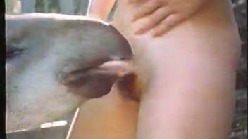 Extremely filthy big-breasted woman screwed by her pony