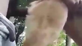 Man fucks furry mutt in the pussy for outdoor kinks