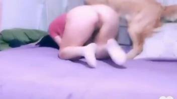 Pretty girl in pink gets fucked by her sexy pet
