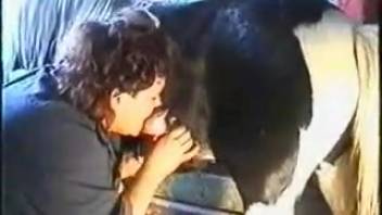 Genuine bestiality encounters with a pony in the missionary position
