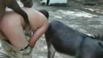 Brown horse fucking a chubby zoophile in public