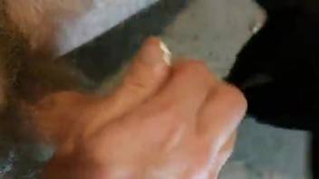Incredible dude allows this beast to tongue his succulent dick