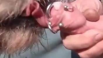 Dude's pierced penis is a tasty treat for this dog