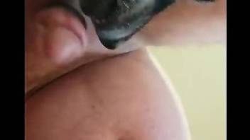 Steamy dick licking oral scenes with his furry dog