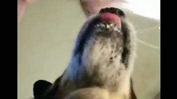 Dog licks man's ass when he's taking a shit