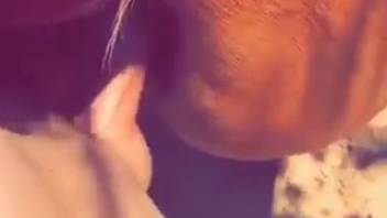 Chestnut filly being fucked by a hung animal lover