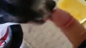 Guy allows his little pup to satisfy his thick dick