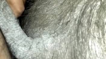 Hog pounds narrow chick in her butt and snatch during endless sessions