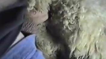 Man enjoys sex with a sheep in very hard XXX scenes