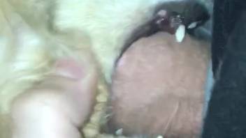 Guy seizes the beast to screw its craving orifice
