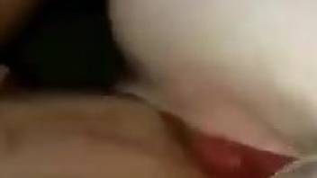 Naked female feels real dog penis hitting her wet cunt