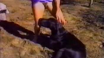 Group sex involving a well-endowed black dog at a picnic outing