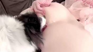 Pale lady is getting her asshole licked by a mutt