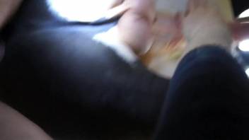 Attractive man sliding his dick into the canine's opening