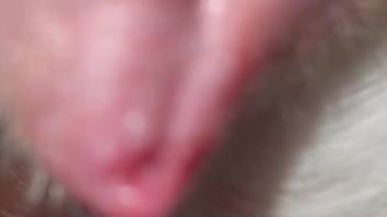 Guy with a bulging-veined cock pounds a narrow opening