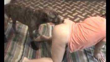 Dog gets teen down on floor and owns her vagina