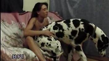 Teen gives shaved pussy to every dog in house