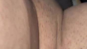 Guy employs his hard-on to pleasure this canine in point-of-view